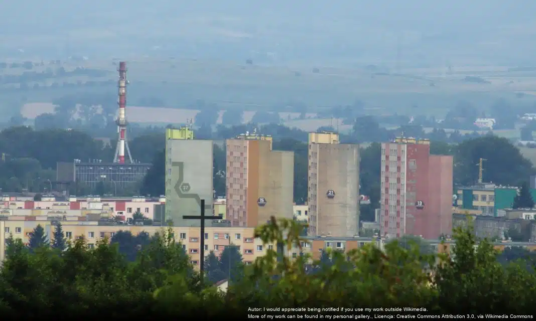 Wydarzenia artystyczne w Policealnym Studium Animatorów Kultury w Krośnie