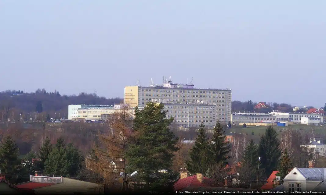 Władze Krosna odwiedziły plac budowy nowego bloku energetycznego